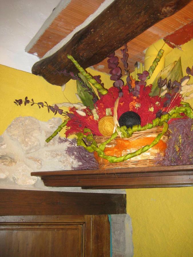 Country house Ca L'antoni Nulles